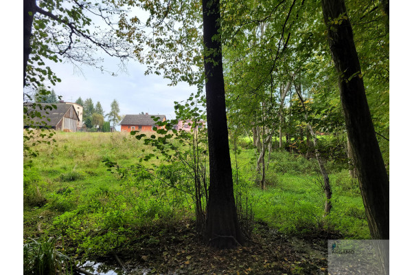 bielski, Bestwina, Janowice, Janowicka, Piękna działka z kawałkiem lasu