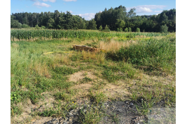 wodzisławski, Wodzisław Śląski, W mieście a jednak blisko natury. Inwestycja!