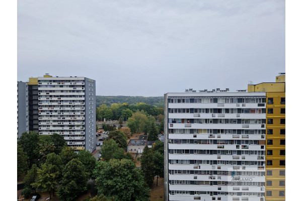 Katowice, Bolesława Chrobrego, Tysiąclecie, 2 pokoje, sprzedaż